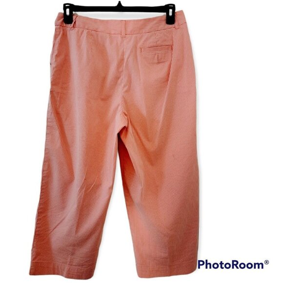 Talbots Pink And White Striped Stretch Cropped Pants Size 10 - Picture 2 of 6